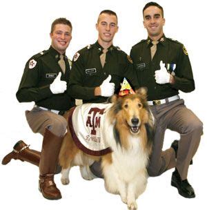 texas a&m reveille | reveille01 Live Mascot, Texas A&m, Down South ...