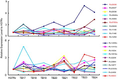 Relative Expression Levels Of 20 Different Putative Efflux Pump Genes