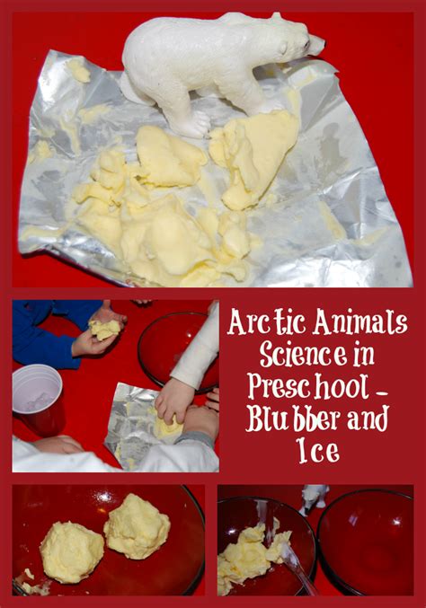 Arctic Animals Preschool Science: Blubber and Ice Explorations! • The ...