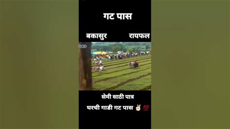 😎🔥बकासुर आनी रायफल सेमी साठी पात्रघरची गट पास 🏻💯नादएकचबैलगाडाशर्यतbakasurvsmathurvs