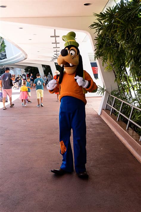 Goofy Disney World