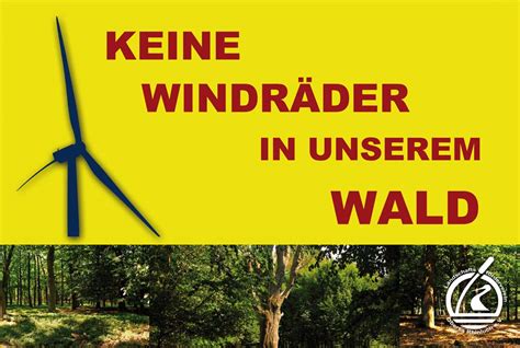 Keine Windr Der Im Wald