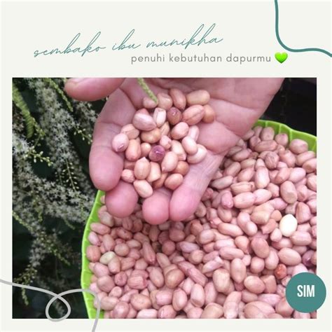 Jual Kacang Tanah Mentah Per 100gr 1 Ons Shopee Indonesia