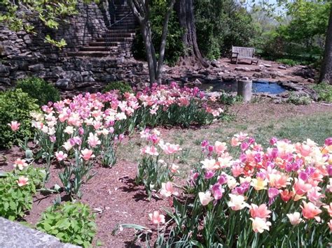 Cheekwood Botanical Garden in Nashville, TN Nashville Tennessee ...