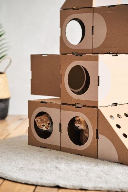 Construire Maison Exterieur Pour Chat Ventana Blog