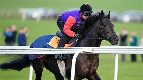 The Queens Racehorses Have Been Transferred To King Charles Iii