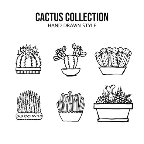 Vector de la colección de cactus dibujada a mano Vector Premium