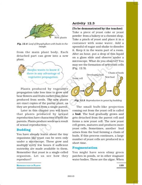 Ncert Book For Class 7 Science Chapter 12 Reproduction In Plants Indcareer Schools