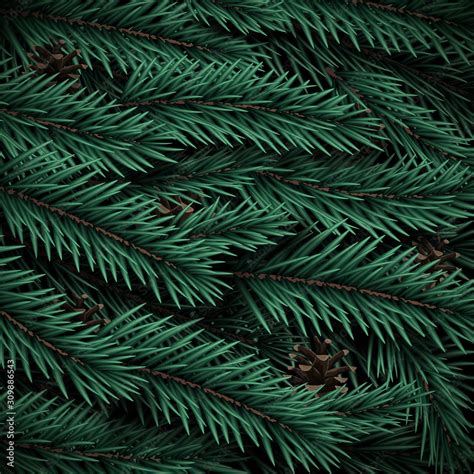 Pine Tree Branch Texture