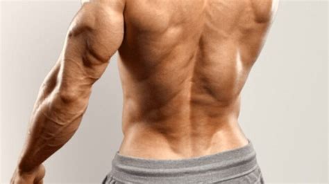 These Are The 8 Best Lower Back Exercises For Bodybuilding Barbend