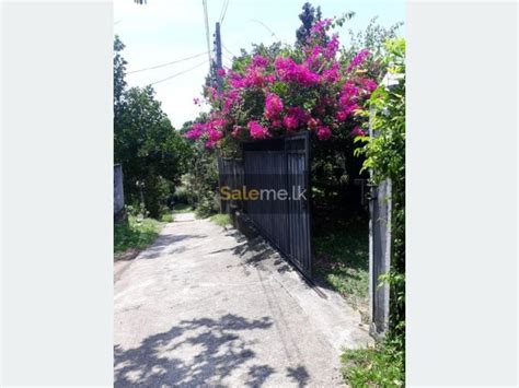 Houses House For Sale In Kadawatha Ganemulla Road In Kadawatha