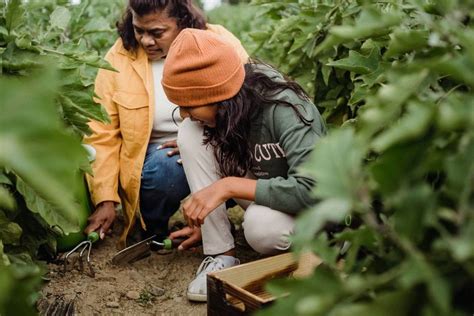 Llega a Colombia el programa Ella alimenta al mundo de la Fundación