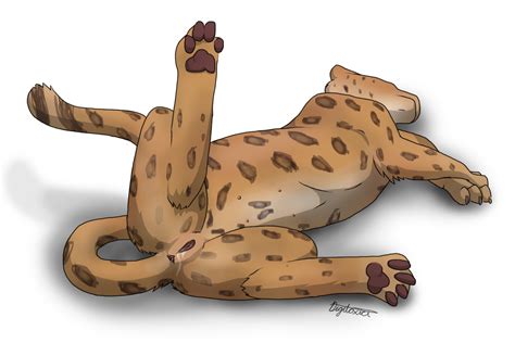 Rule 34 Digitoxici Feline Female Feral Hi Res In Heat Jaguar Presenting Pussy Pussy Juice