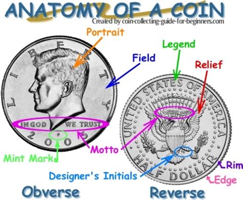 Coin Terms - Anatomy of a Coin