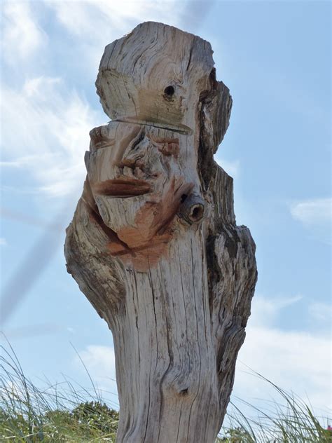 Kostenlose Foto Baum Rock Himmel Holz Feld Monument Statue