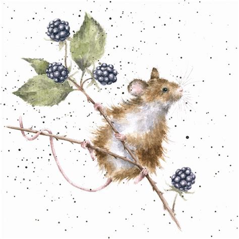 Cs129 Brambles Wrendale Designs Animal Paintings Animal Art