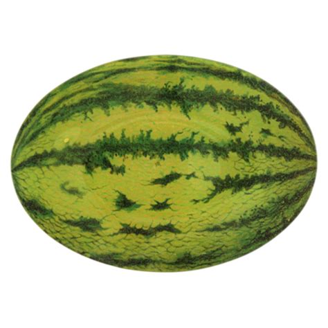 Watermelon Clipart Oblong Watermelon Oblong Transparent Free For