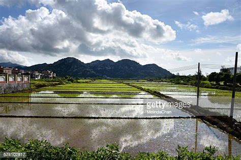 Taishan Guangdong Province Photos and Premium High Res Pictures - Getty ...