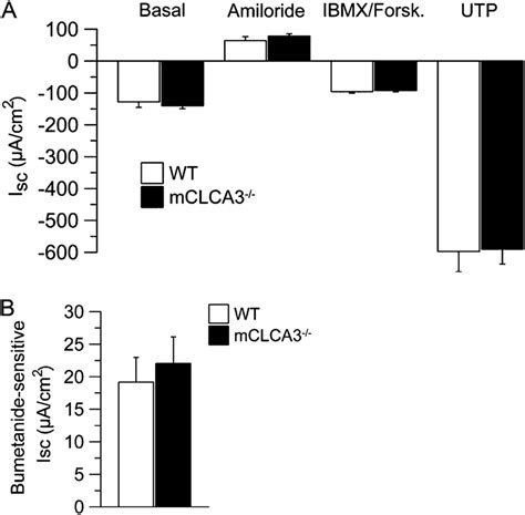 Normal Ca Activated And Bumetanide Sensitive Cl Secretion In