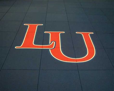 Liberty University Logo by #Ecore | University logo, Liberty university ...