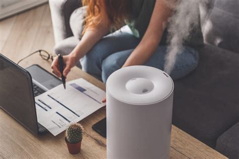 The Different Types Of Humidifiers Urdesignmag