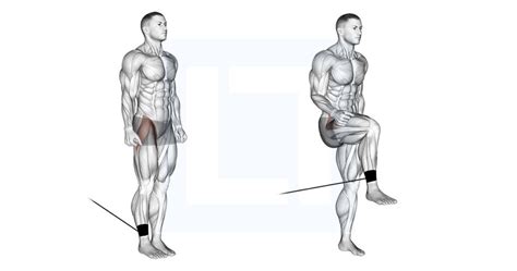 Side Lying Hip Adduction Guide Benefits And Form