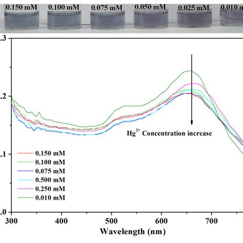 A Photographs And B Absorption Spectrum Of Citrate Capped Aunps