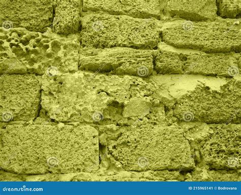 Tuff Wall for Backgrounds and Textures.shell Rock Texture Stock Image ...