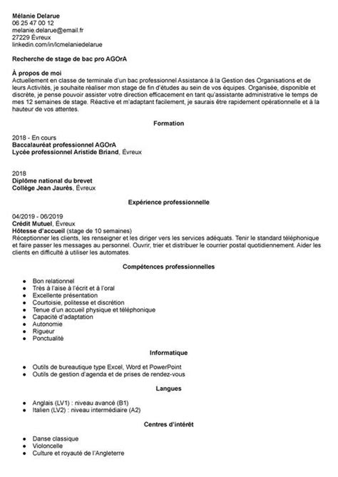 CV lycéen exemple et modèle gratuit seconde à terminale