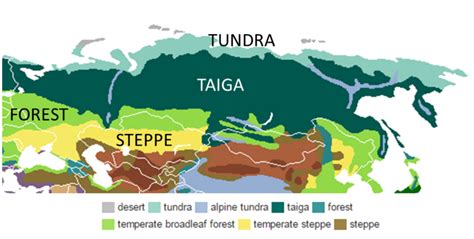 3 1 Geografía Física Y Clima De Rusia Libretexts Español