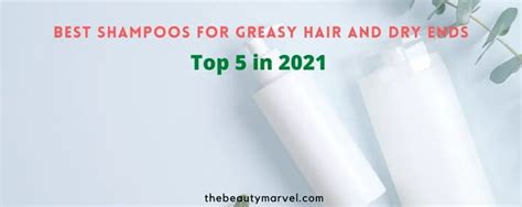 Best Shampoos For Greasy Hair And Dry Ends Top 5 In 2021