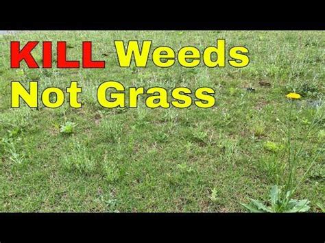 How To Kill Weeds In Your Lawn Without Killing The Grass Artofit