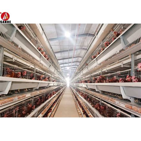 Prefabricated Steel Frame Construction Structure Poultry Farm Broiler