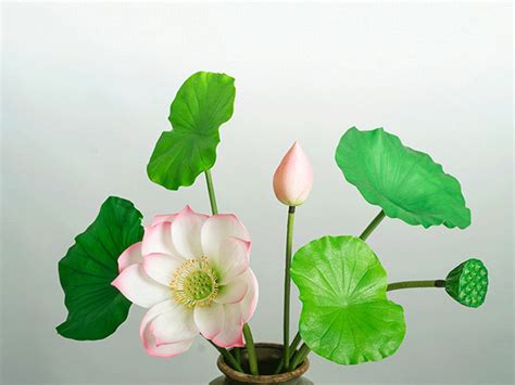 Artificial Lotus Flower With Long Stem Realistic Water Lily Leaf Fake