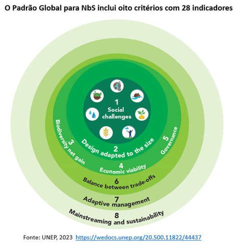 Crise Ambiental E Solu Es Baseadas Na Natureza