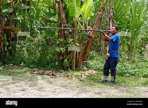 Amazonian Tribes Hunting