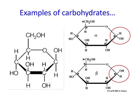 Complex Carbohydrates Diagram