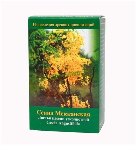 Купить листья Сенны Мекканской 100гр в Беларуси | Arabic-Shop.by ...