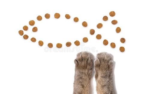 Dry Cat Food And Cat Paws On A White Background Stock Photo Image Of