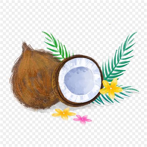 Tropical Coconut Clipart Vector Realistic Tropical Plant Watercolor