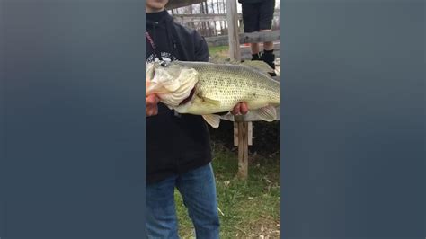 Huge Bass Fishing Ponds Youtube