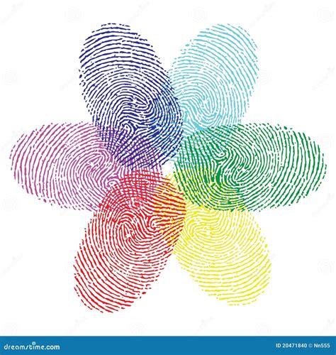 Color Fingerprint Flower Stock Vector Image Of Forensic 20471840