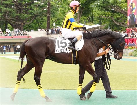 5月21日東京競馬⭐︎3歳未勝利⭐︎ピックアップライン⭐︎尻尾の三つ編み可愛いです 公式：黒澤ひかりのキラキラ日記～magic Kiss