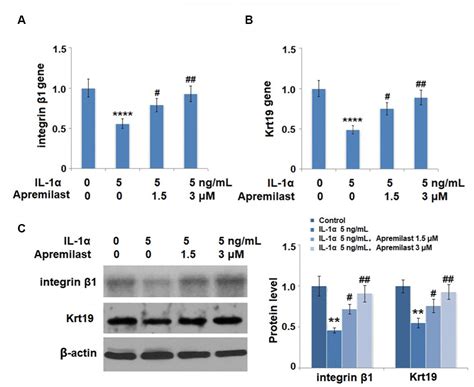 Correction For Apremilast Ameliorates Il Induced Dysfunction In