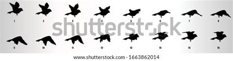 Sparrow Flying Animation Sequence Silhouette Loop Stock Vector Royalty