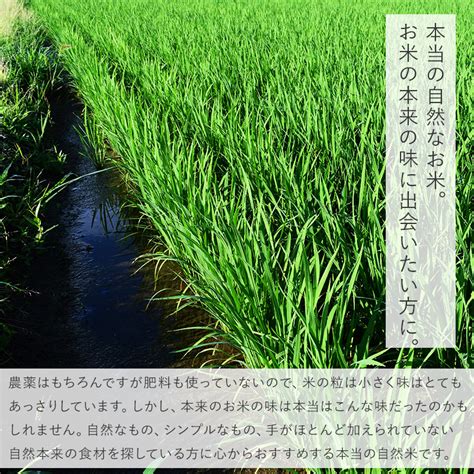 令和5年新米 在来種あさひ｜30年間無農薬・無肥料の田んぼで育った自然米 （玄米 白米 分づき米）10kg（5kg×2袋） 静岡県産あさひ