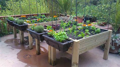 De tu patio a la cocina Secretaría de Agricultura y Desarrollo Rural