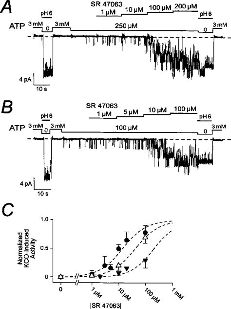 Figure From Mechanism Of Action Of K Channel Openers On Skeletal