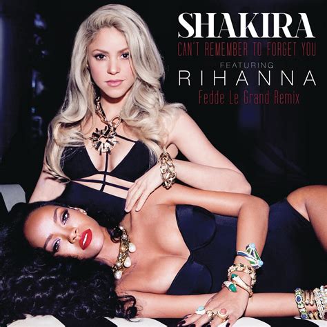 Apple Music 上Shakira的专辑Can t Remember to Forget You Fedde Le Grand