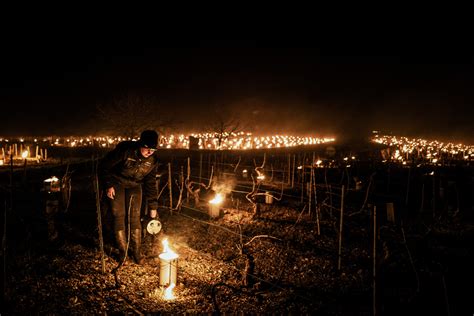 Diaporama Vague De Froid Les Images Captivantes Des Feux Pour